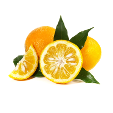Апельсин горький эфирное масло терапевтическое