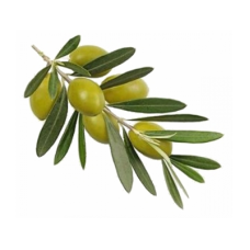 Оливкова рослинна олія рафінована